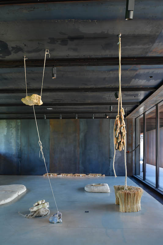 Denise Bresciani, Le jardin désobéissant, installation, 2021, Exposition Seconde nature, La cuisine, centre d'art et de design : Image Didier Taillefer ©Denise Bresciani ADAGP