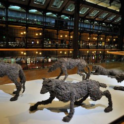 Lionel Sabatté La meute - FIAC - Hors les murs, 2011 Grande Galerie de l’évolution - Muséum d’histoire naturelle de Paris Photos © J.-C Grandin Collection particulière