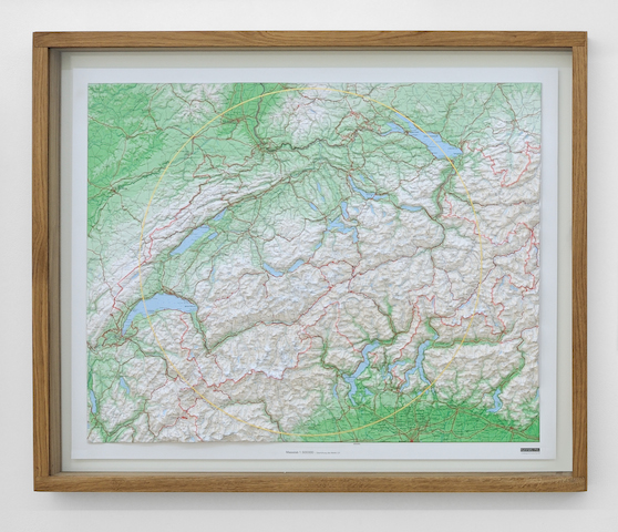 Nicolas Milhé, L'Aménagement du pessimisme ©galerie Samy Abraham Nicolas Milhé, L'Aménagement du pessimisme ©galerie Samy Abraham