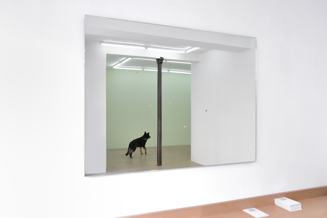 Nicolas Milhé, L'Aménagement du pessimisme ©galerie Samy Abraham Nicolas Milhé, L'Aménagement du pessimisme ©galerie Samy Abraham