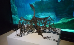 Lionel Sabatté, Fabrique des profondeurs, Aquarium de Paris
