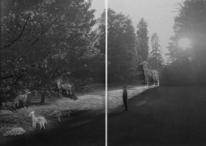 [FOCUS] Juliette-Andréa Elie, Inhabitable monde habitable