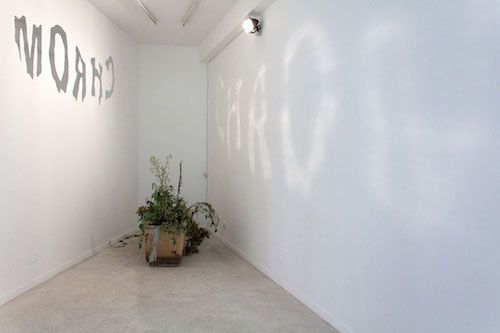 Les Frères Ripoulain, Caustique Chrom, Straat Galerie