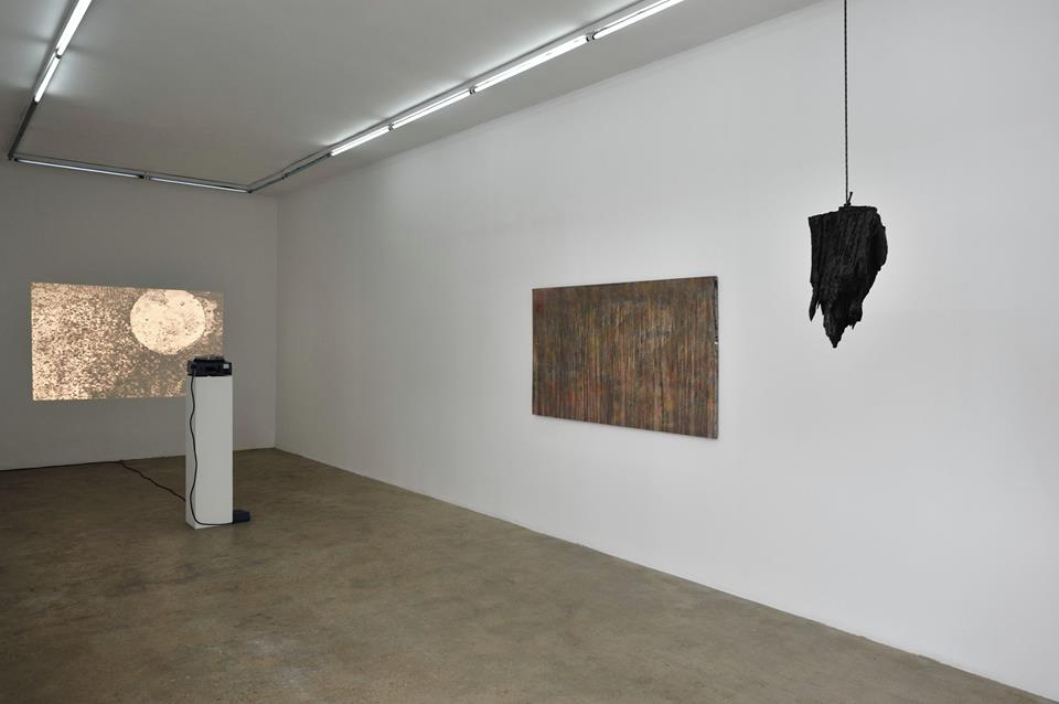Matthieu Blanchard, Apoptose, galerie Samy Abraham