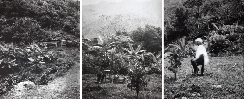 Marcos Avila Forero, Estenopeicas Rurales, Restitutions de la mémoire, Galerie Dohyang Lee