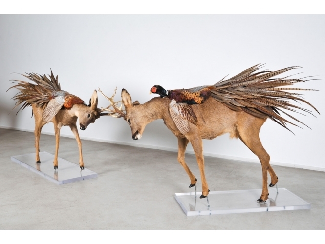 Julien Salaud, Metamorphic, Loft 19 galerie Suzanne Tarasieve
