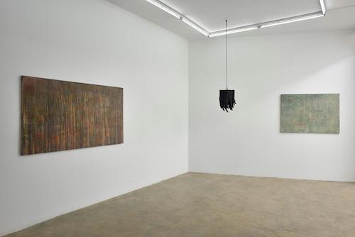 Matthieu Blanchard, Exposition Apoptose, galerie Samy Abraham © Rebecca Fanuele