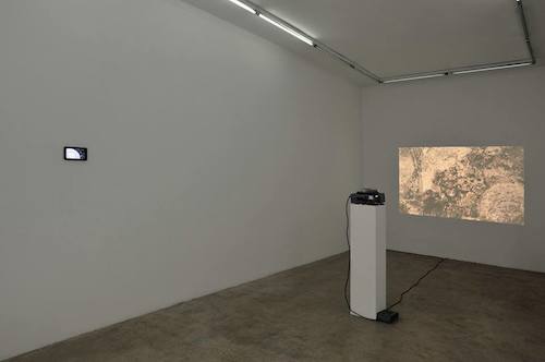 Matthieu Blanchard, Exposition Apoptose, galerie Samy Abraham © Rebecca Fanuele