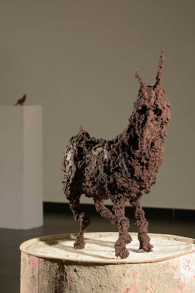 Vue d'exposition La Constance des Alizées, Bouc en thé noir, Institut Français de l’île Maurice – 2014