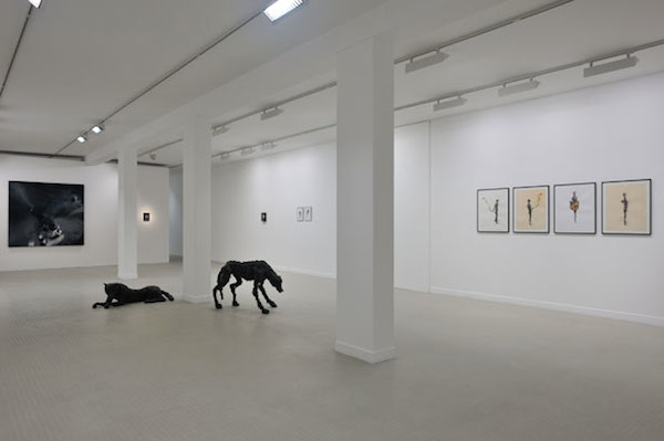 Parenthèses et suspensions (…), 2013 Galerie Municipale Jean-Collet, Vitry-sur-seine Vues d’exposition - Photos © Rebecca Fanuele