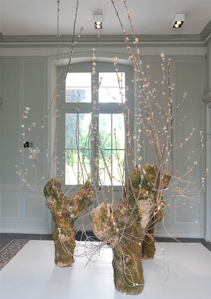 Printemps 2015 Fresnes, peaux mortes, ongles, colle, vernis 310 x 600 x 600 cm Muséum d'histoire naturelle de la Rochelle, "Echafaudage sur le ressac" – 2015 / Photo ©Rebecca Fanuele.