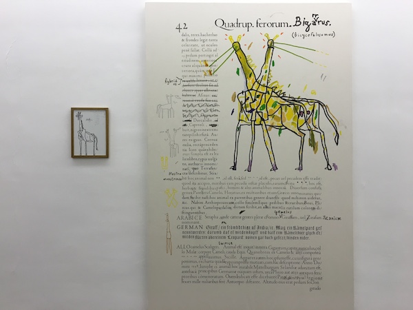 Adrien Vermont, vue d'exposition Dogs from Hell Galerie Patricia Dorfmann