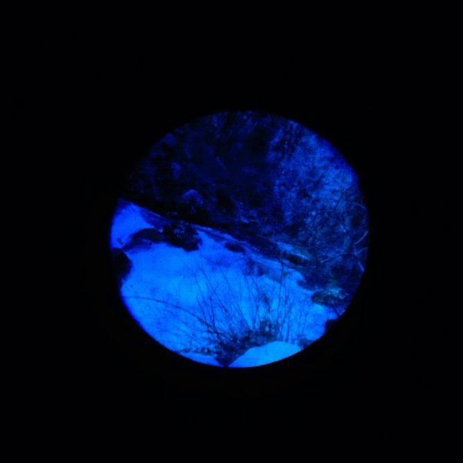 [FOCUS] Ludovic Sauvage – Le Jardin des Pieuvres