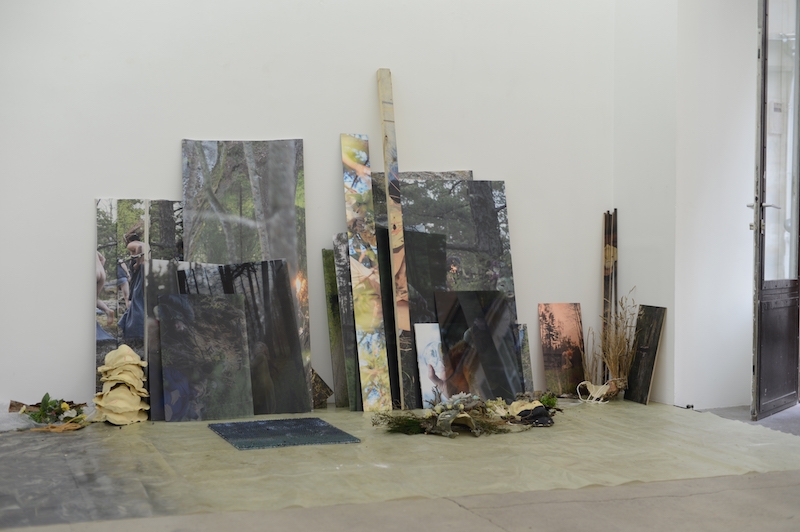 Pétrel / Roumagnac (duo) – Une exposition de rêves – Galerie Escougnou-Cétraro