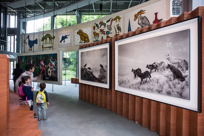 Vue de l'exposition Le Grand Orchestre des Animaux. © Lumento