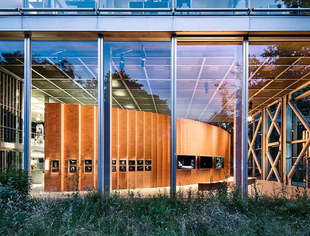 [EN DIRECT] Le grand orchestre des animaux : une promenade sonore à la rencontre des animaux – Fondation Cartier pour l’art contemporain