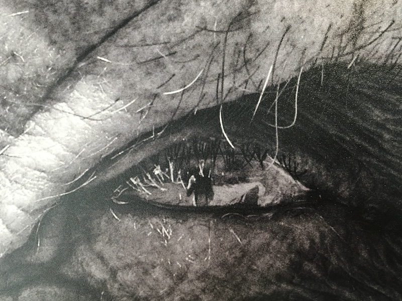 Photo DocksArtFair™ 2016 – Lyon