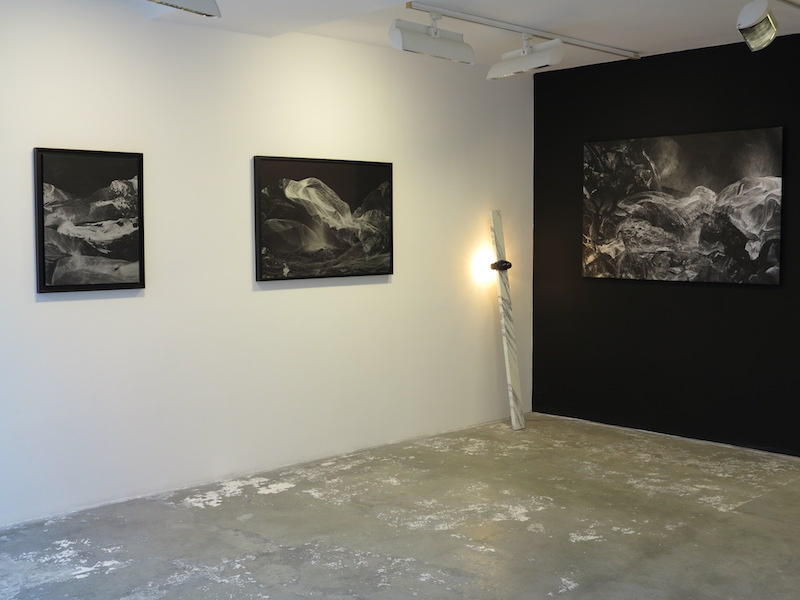 Vue de l'exposition Under the Cherry Moon, galerie Dominique Fiat, Paris 2016