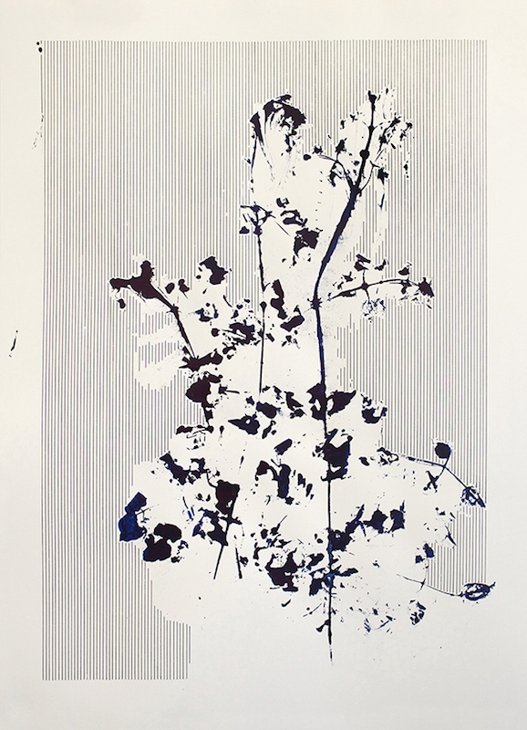 Mauvaises herbes, 2016. Encre industrielle sur papier, 70 x 50 cm © Nicolas Muller