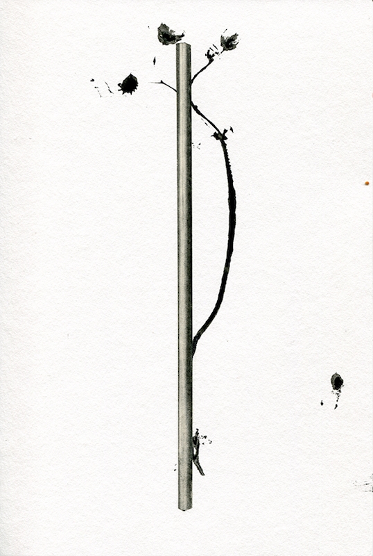 Veille, 2016. Encre industrielle et graphite sur papier, 30 x 20 cm © Nicolas Muller