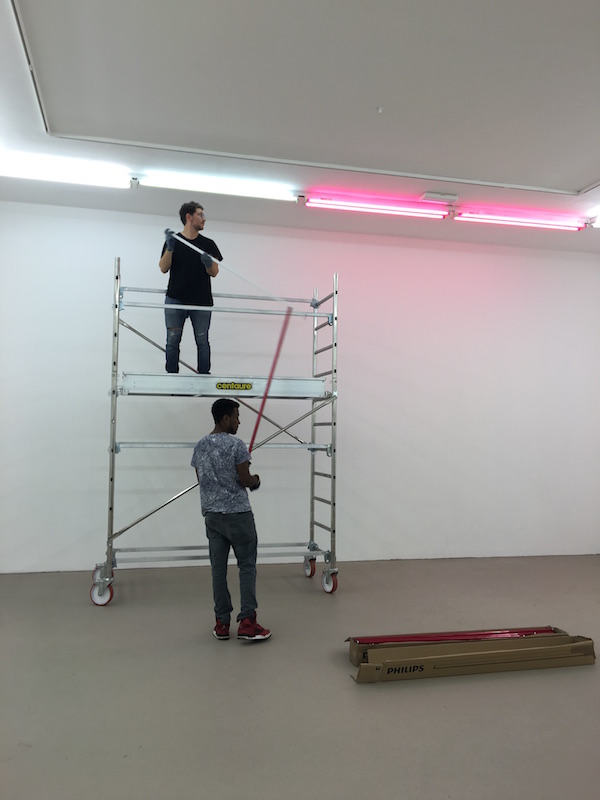 Vue d'exposition - Jason Dodge - Behind this machine anyone with a mind who cares can enter - IAC Villeurbanne - Photo Point contemporain