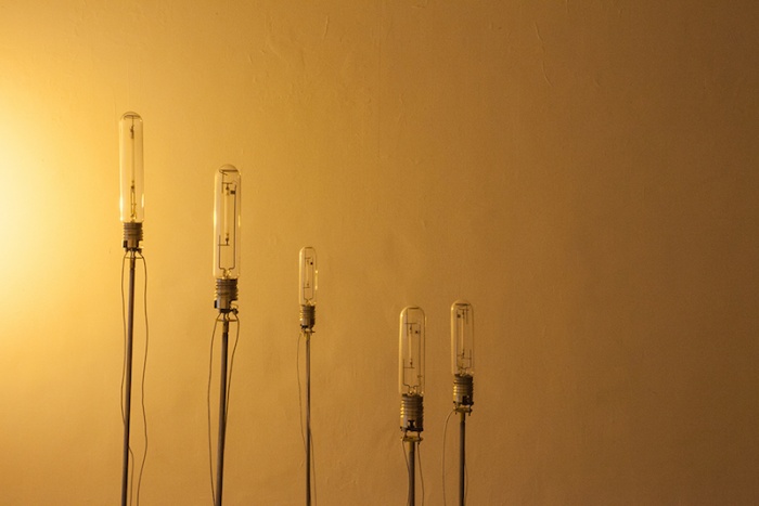 Nathalie Brevet_Hughes Rochette Barrié #4 (palissada) 2016 panneau de bois, lampes sodium a : aveuglées b : ne peuvent plus s'y loger 2012 grillage galvanisé, ampoules à filament, lampe sodium ©Nicolas Giraud - CACC
