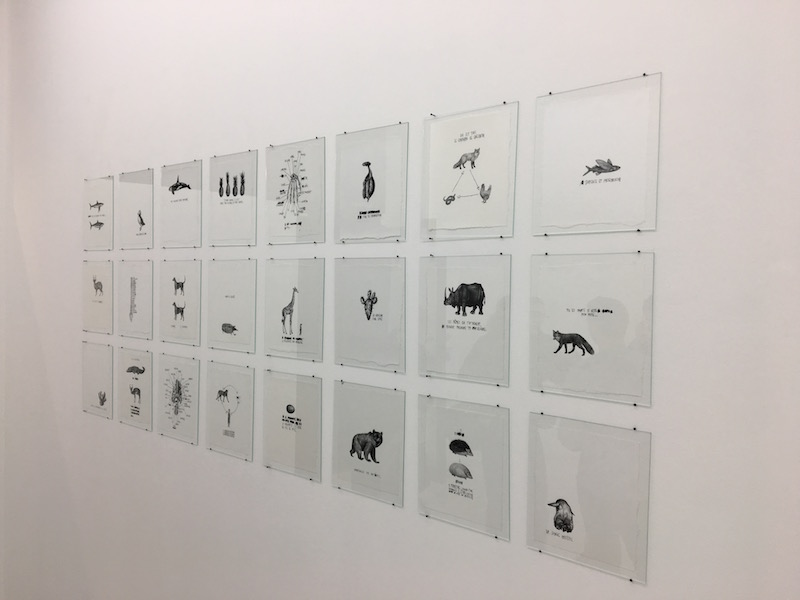 [EN DIRECT] Jérémie Amigo, Douceur d’une épine, Galerie ALB Anouk Le Bourdiec Paris