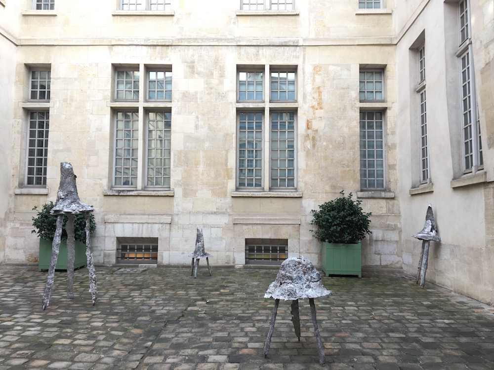 [EN DIRECT] Loups, Musée Cognacq-Jay