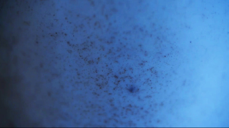 Neige sédimentielle, 2016 - Vidéo 1080P en boucle ©ADAGP - Nicolas Tourte / Galerie Laure Roynette
