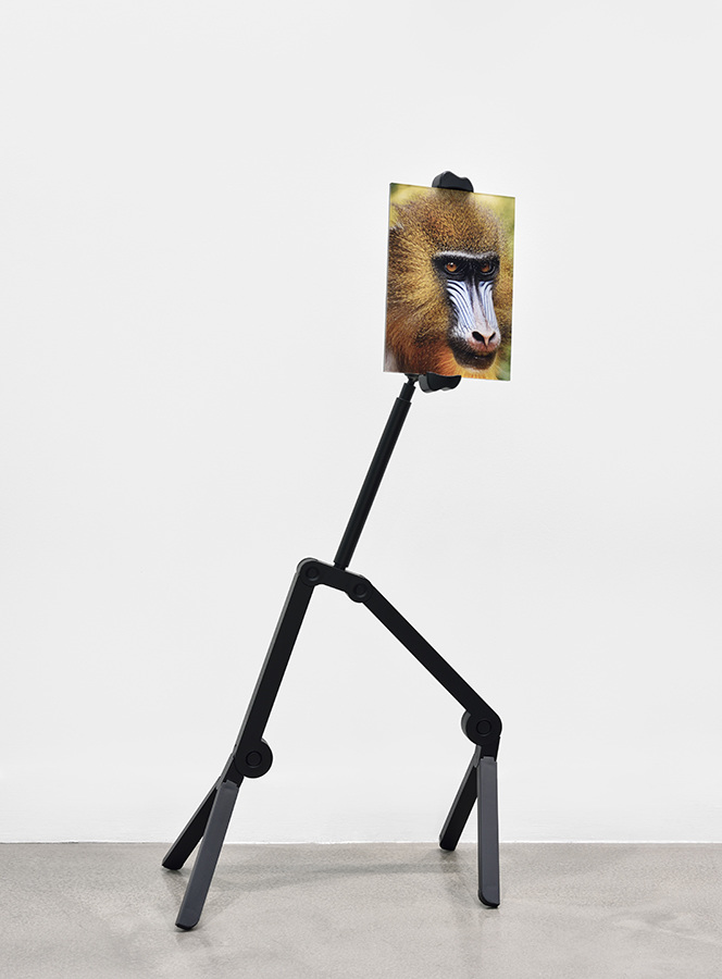 Vue de l'exposition personnelle d'Annabelle Arlie - Galerie Derouillon Paris. Photo : Rebecca Fanuele