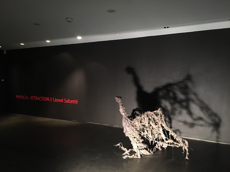 [EN DIRECT] Lionel Sabatté, Physical attraction, Galerie C Neuchâtel