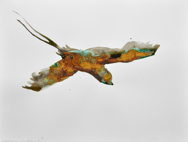 Oiseau des îles oxydé #1– 2014 Solution à base de fer et bronze oxydé sur papier Arches, 46 x 61 cm.