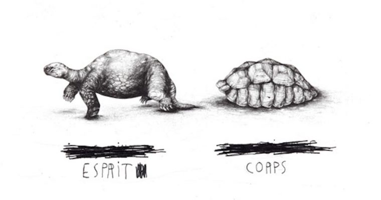 [FOCUS] Jérémie Amigo, Dessins
