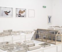 DOCUMENTA 14 ATHENES – CHAP. 3 Les deux lieux majeurs