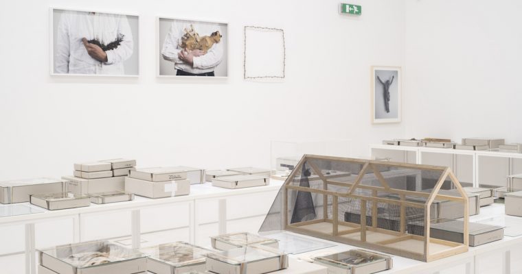 DOCUMENTA 14 ATHENES – CHAP. 3 Les deux lieux majeurs
