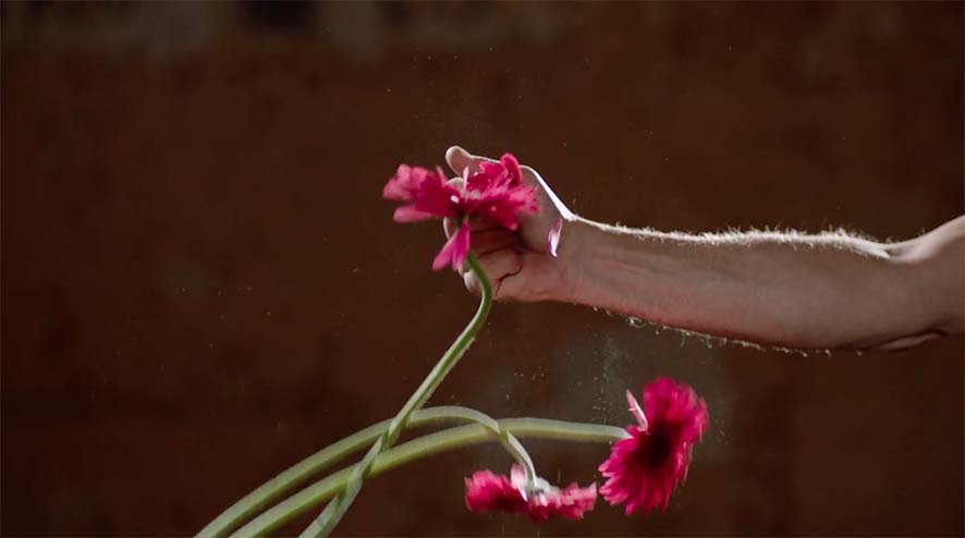 Lee Yanor Only One Story, 2017 Vidéo HD, Couleur, Stéréo