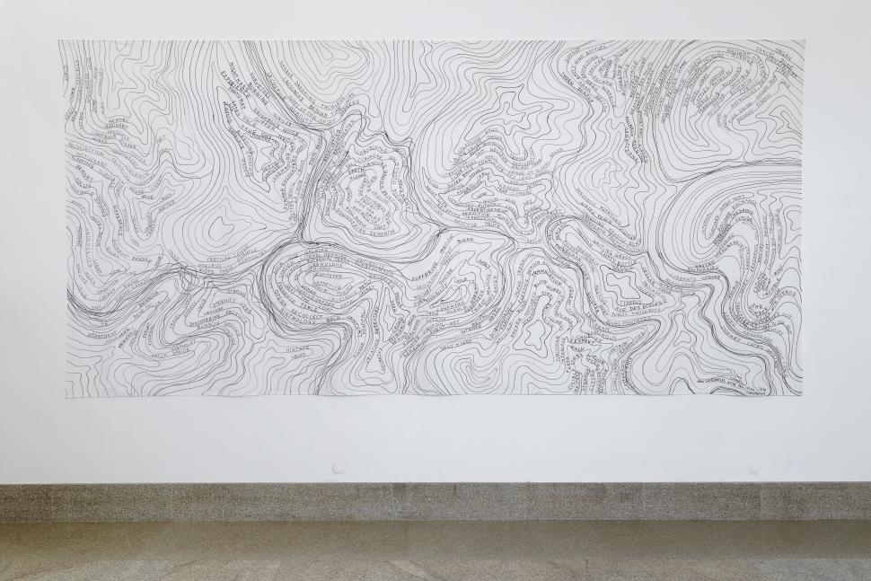 Lois Weinberger, Fieldwork, 2010. Marqueur à l’huile sur coton imprégné (FNAC 2013-0566).
