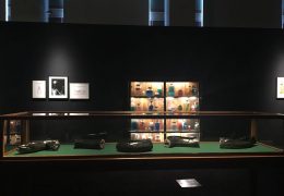 Mark Dion, Museum d’Histoire Naturelle, Palais Longchamp Marseille