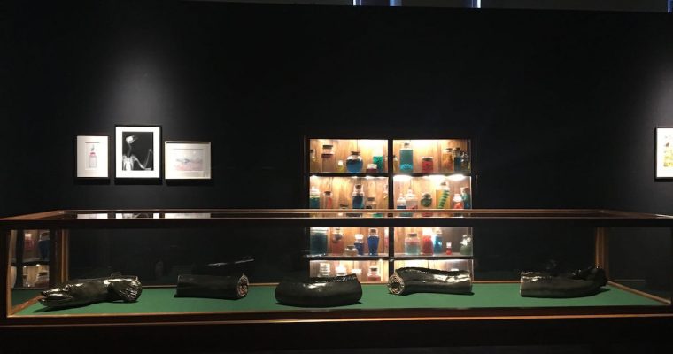 Mark Dion, Museum d’Histoire Naturelle, Palais Longchamp Marseille