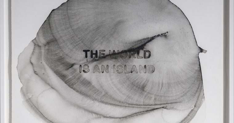 Thomas Tronel-Gauthier, The world is an island, Galerie 22,48m2 [EN DIRECT DE L’EXPOSITION]