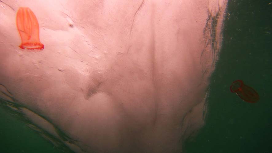 Ursula Biemann Subantlantic, 2015 Vidéo HD, Couleur, Stéréo
