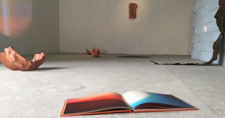Morgane Tschiember, L’Heure rose, CAC La Traverse [EN VIDÉO]