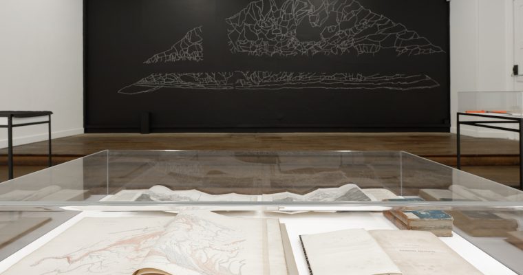 Irene Kopelman, On Glaciers and Avalanches, CRAC Alsace 