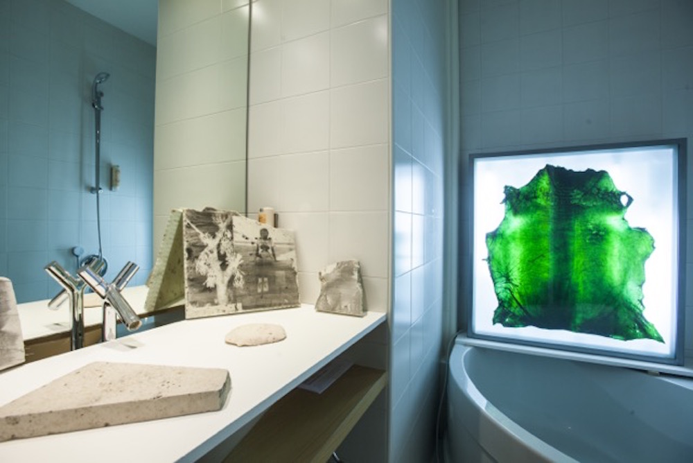 Vue des oeuvres d'Alice Guittard et Amandine Guruceaga, courtesy Double V Gallery