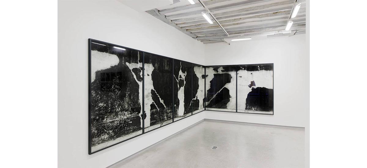 LUKAS HOFFMANN, STARING AT THE SCENERY, GALERIE BERTRAND GRIMONT PARIS