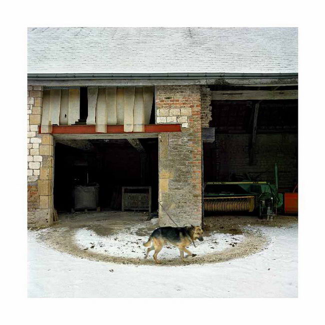 Eric Guglielmi, Roche, France, 2006 Courtesy Galerie Maubert, Paris