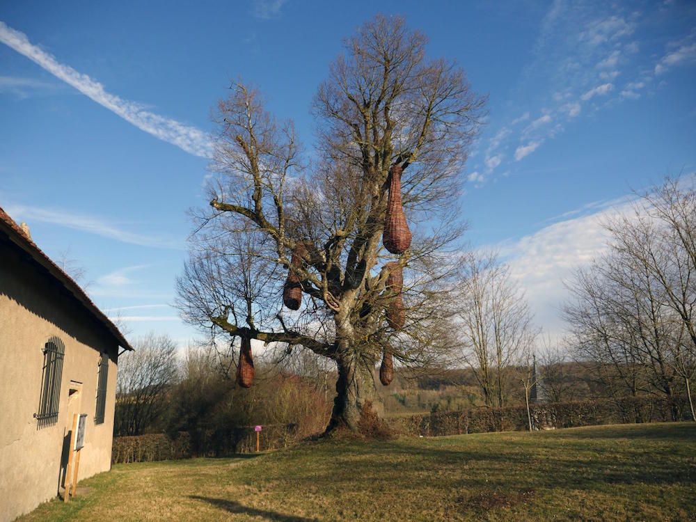 Guillaume Barth, Nichoirs du grand tilleul. 5 sculptures différentes essence de bois, STUWA 2016, Ueberstrass commissariat Coal.