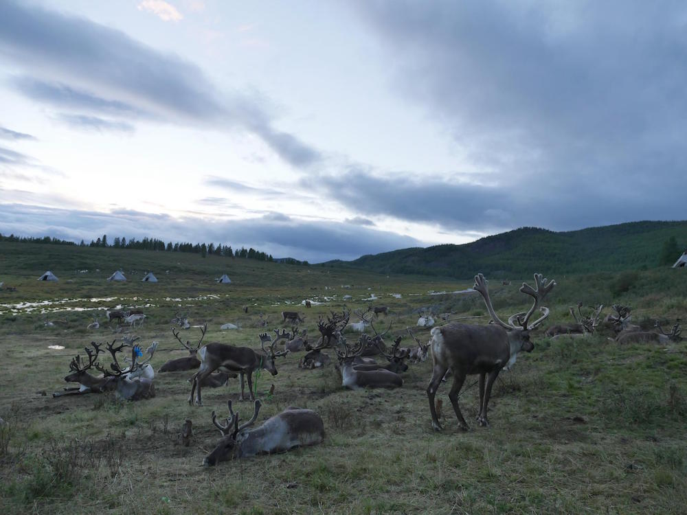 Guillaume Barth, La terre tremblera trois fois, 2016. Photographie chez les peuples des rennes, Mongolie. Courtesy artiste.
