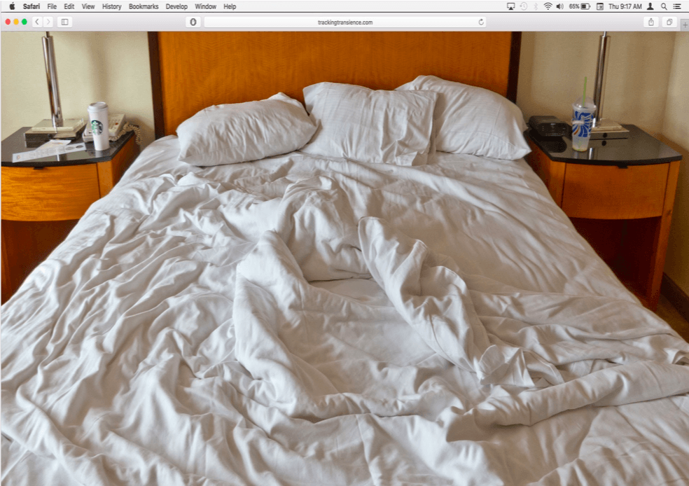 Hasan Elahi, Tracking Transience, 2003 - en cours. Projet artistique en ligne. Site Internet http://trackingtransience.Net. Courtesy de l’artiste