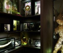 Réflexion autour de l’imaginaire scientifique et réenchantement du monde